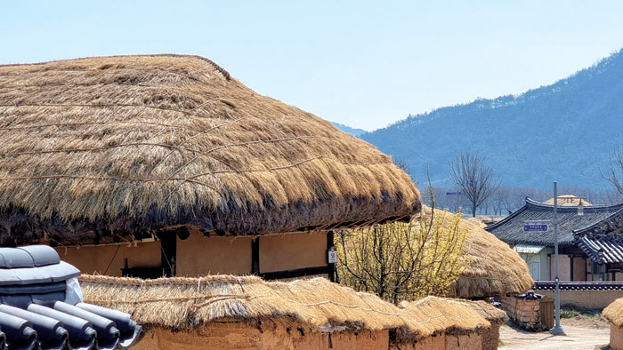Casas tradicionales con techo de paja en Andong Hahoe Folk Village